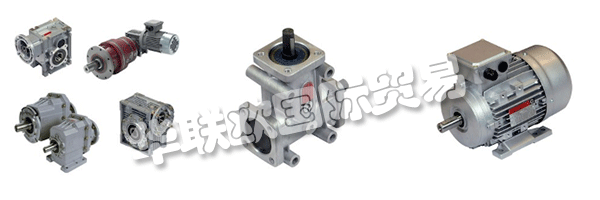 財產(chǎn)的意愿都是維持和鞏固集團(tuán)的領(lǐng)導(dǎo)地位CHIARAVALLI，