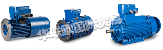 Regal成立于1954年，擁有CEMP?Srl，是意大利首批生產(chǎn)防爆防爆電機的公司之一。