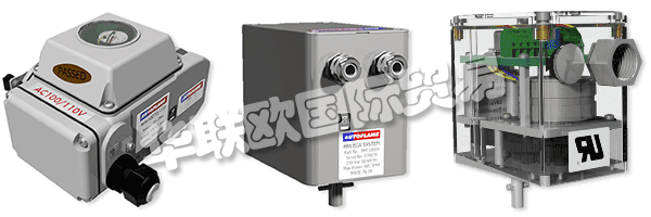 因此被視為AUTOFLAME公司和質(zhì)量管理體系的主要目標。