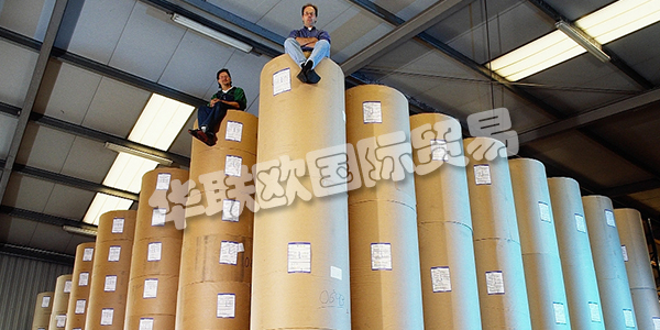 APV德國(guó)是歐洲卷材紙和柔性材料加工領(lǐng)域的領(lǐng)先公司之一。在客戶不斷變化的需求的推動(dòng)下，他們不斷努力改進(jìn)和完善他們的加工技術(shù)。這得到了密集投資計(jì)劃的支持。因此，他們實(shí)現(xiàn)了先前的機(jī)器擴(kuò)展和存儲(chǔ)容量的擴(kuò)展。2011年，Bramsche工廠新建了一個(gè)生產(chǎn)車(chē)間，為高科技，醫(yī)療技術(shù)和食品行業(yè)的客戶提供清潔和衛(wèi)生的特殊條件。