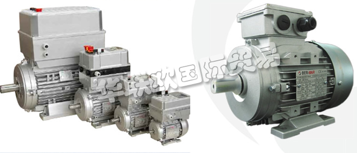 意大利BERMAR公司的主要產(chǎn)品包括：意大利BERMAR電機(jī)、BERMAR電動(dòng)機(jī)、異步電機(jī)、異步電動(dòng)機(jī)、永磁發(fā)動(dòng)機(jī)、逆變器、伺服通風(fēng)電動(dòng)機(jī)、伺服電動(dòng)機(jī)、工業(yè)洗衣機(jī)電動(dòng)機(jī)、單相電動(dòng)機(jī)、DRIVEJET鼓風(fēng)機(jī)、高效電機(jī)、泵、風(fēng)扇、工業(yè)壓縮機(jī)。