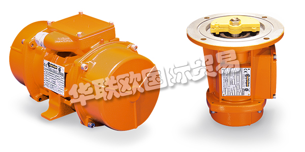 ITALVIBRAS是一家意大利公司，在電動(dòng)振動(dòng)器領(lǐng)域擁有十多年的經(jīng)驗(yàn)。對(duì)質(zhì)量的不斷追求，多年來活動(dòng)中積累的豐富經(jīng)驗(yàn)使ITALVIBRA成為全球電動(dòng)振動(dòng)器領(lǐng)域的旗幟。ITALVIBRA于2000年獲得UNI EN ISO 9001認(rèn)證，并通過CESI 00 ATEX 061 Q認(rèn)證了生產(chǎn)質(zhì)量。ITALVIBRAS重視創(chuàng)新，ITALVIBRAS公司在尖端技術(shù)上的大量投資大大改變了ITALVIBRAS的生產(chǎn)過程，從產(chǎn)品的定性角度和控制生產(chǎn)成本方面都取得了重要的成果。下文為您介紹ITALVIBRAS振動(dòng)器。