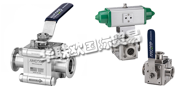 美國ANCORP公司主要供應(yīng)：美國ANCORP閥門,ANCORP過濾器，真空閥，疏水閥，真空球閥，二通球閥，三通球閥，高電導(dǎo)球閥，顆粒分離器，螺栓，螺母，固定環(huán)，夾具等產(chǎn)品。