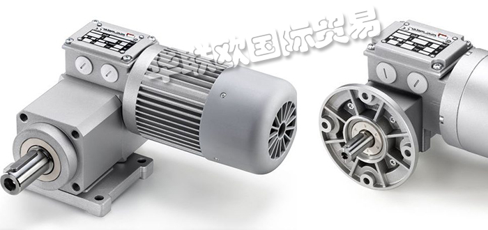 意大利MINIMOTOR齒輪減速機(jī)系列產(chǎn)品特點(diǎn)及型號(hào)介紹