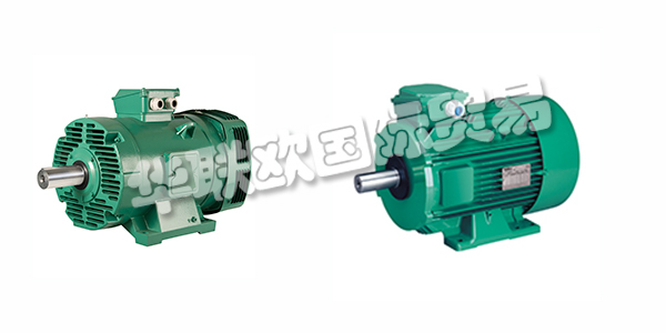 法國LEROY SOMER電機產(chǎn)品特征介紹