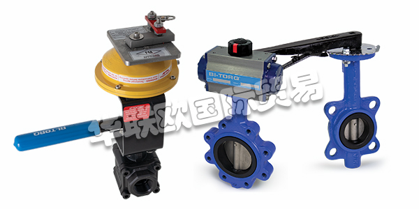 美國(guó)STRAHMAN閥門(mén)產(chǎn)品描述（STRAHMAN閥門(mén)產(chǎn)品功能和選項(xiàng)）