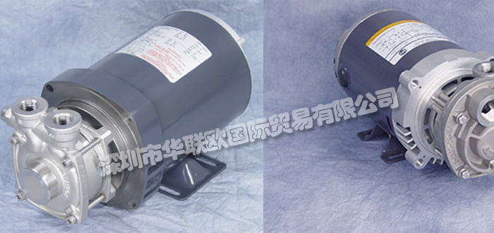 美國(guó)MTH PUMPS再生渦輪泵P31系列