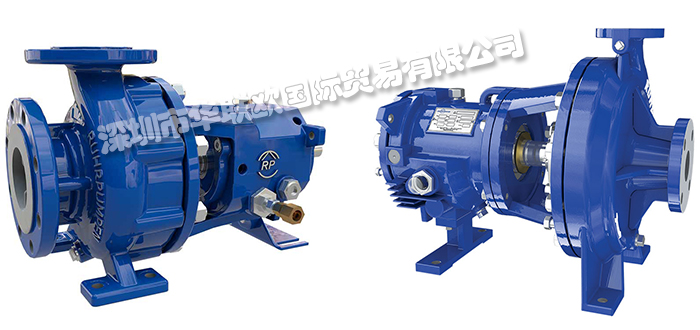 美國(guó)RUHRPUMPEN過(guò)程泵CPO ANSI